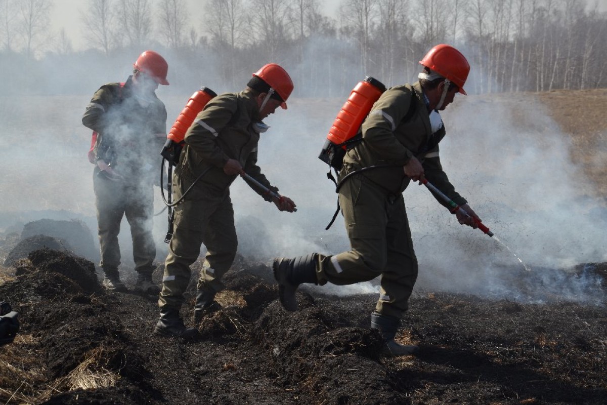 Крупный лесной пожар возник в Челябинской области