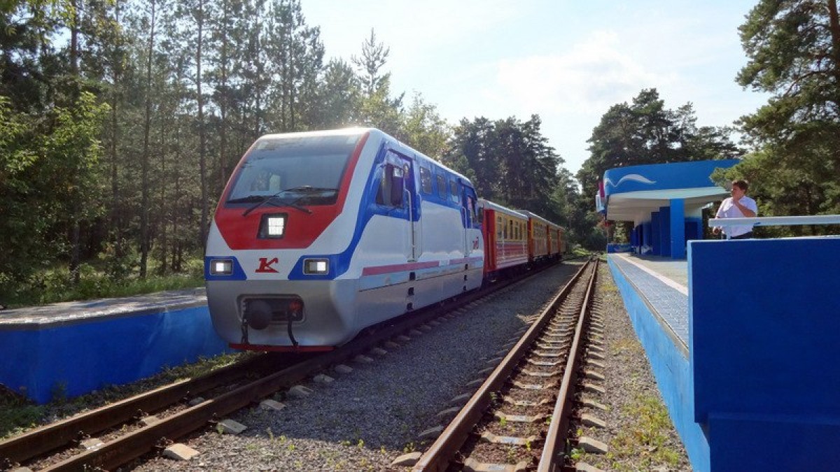 Из-за селфи с поездом на детской железной дороге в парке Гагарина две школьницы попали в больницу с травмами