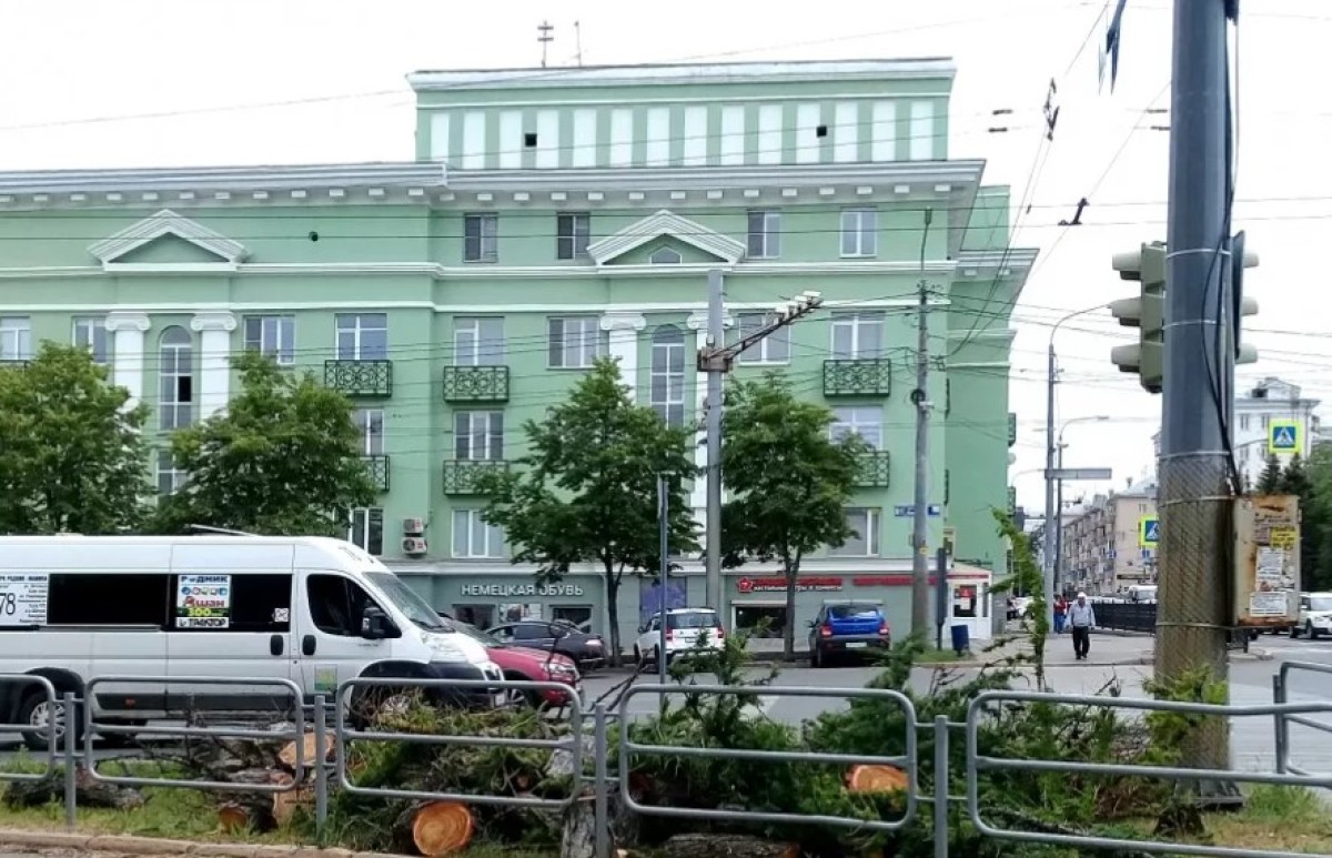 Спилить даурскую лиственницу в центре Челябинска приказали вице-мэр и глава комитета дорожного хозяйства