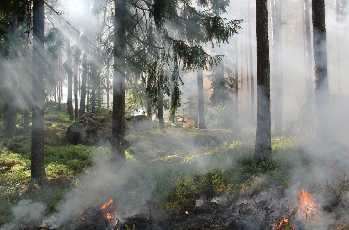 Гарь от лесных пожаров в Челябинской области ощущается по-прежнему
