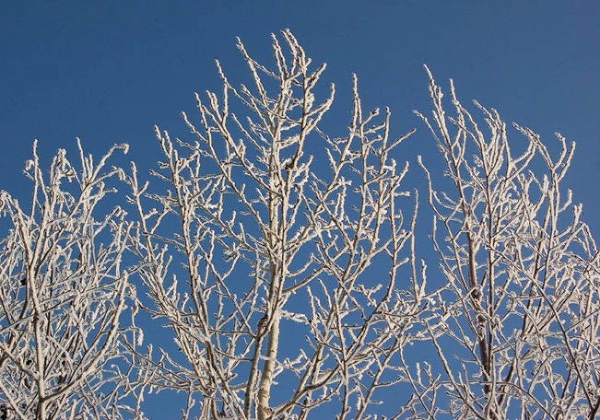 В Рождество таких морозов, как в 2000-м году, в Челябинской области не будет
