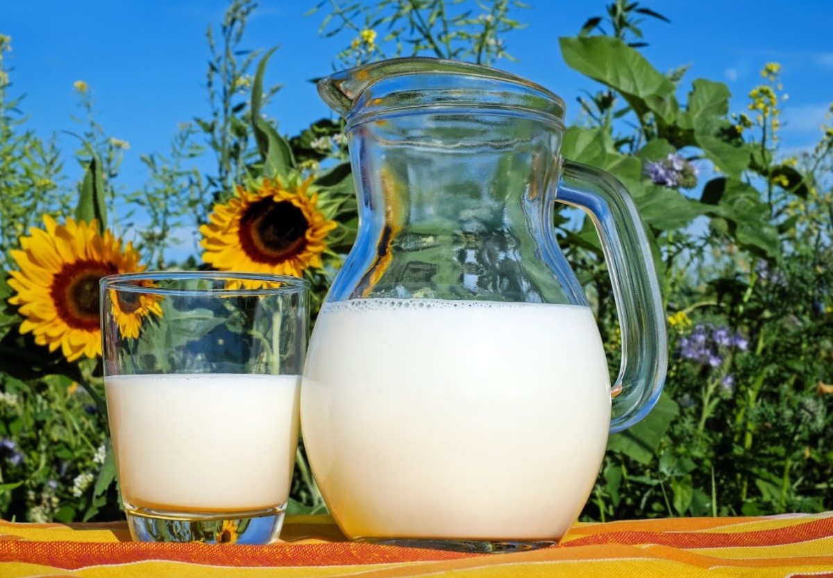 Более 1,5 миллиона тонн молока выпустят в Краснодарском крае в 2022 году