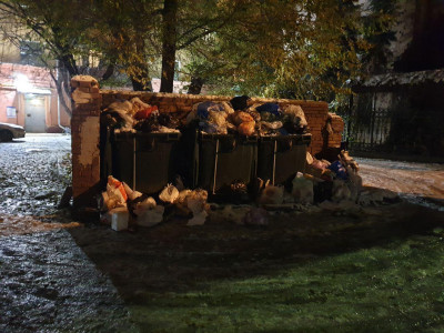 ЦКС не вывозят мусор с улицы Цвиллинга, 41А. Фото: Lentachel.ru