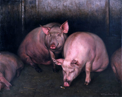 Свинки на картине Игоря Белковского.