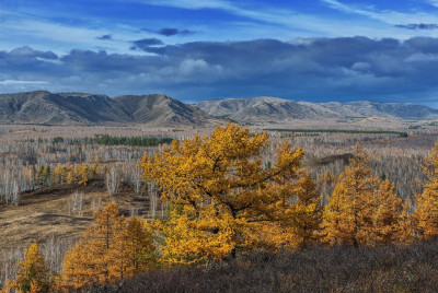 Осень в горах - фото Анатолия Шулепова.