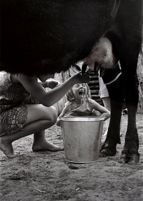 Парное молоко. Фото Юрия Ермолина.