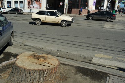 Пень в центре Челябинска. Фото Серея Белковского.