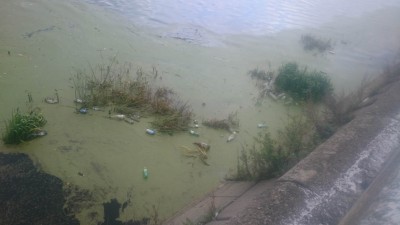 Челябинск, в заболоченной части реки Миасс скапливается много мусора